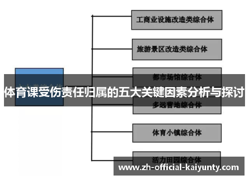 体育课受伤责任归属的五大关键因素分析与探讨
