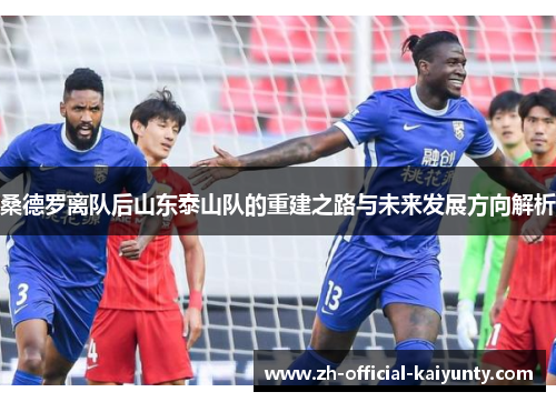 桑德罗离队后山东泰山队的重建之路与未来发展方向解析