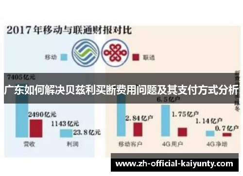 广东如何解决贝兹利买断费用问题及其支付方式分析