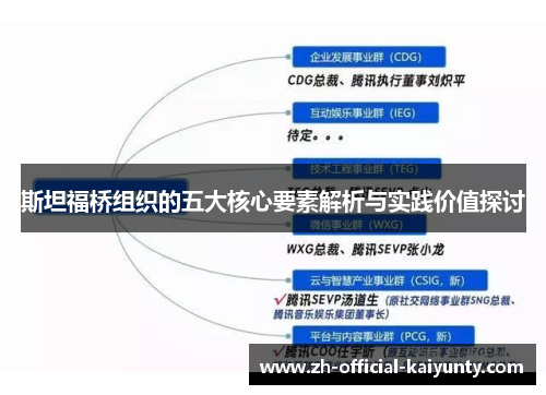 斯坦福桥组织的五大核心要素解析与实践价值探讨
