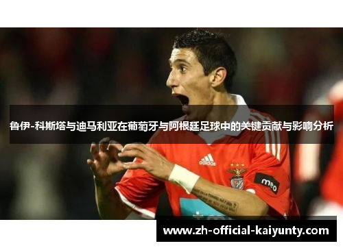 鲁伊-科斯塔与迪马利亚在葡萄牙与阿根廷足球中的关键贡献与影响分析