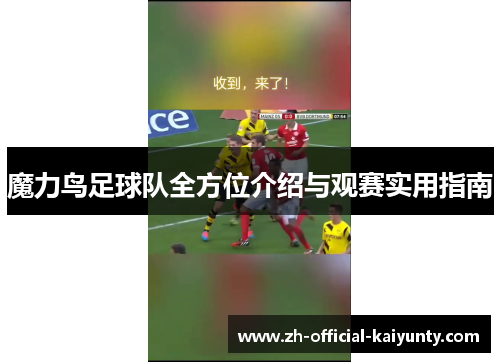 魔力鸟足球队全方位介绍与观赛实用指南