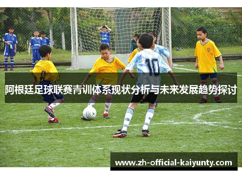 阿根廷足球联赛青训体系现状分析与未来发展趋势探讨